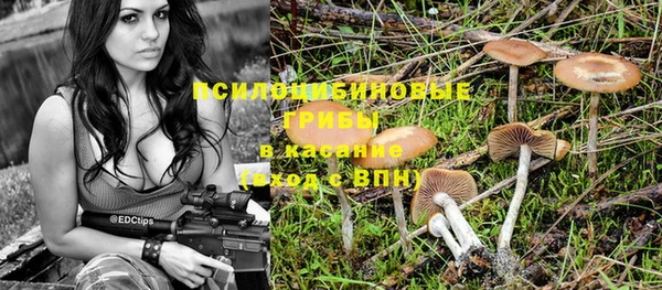 метадон Новодвинск