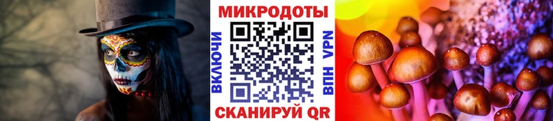Псилоцибиновые грибы мухоморы  Кисловодск 