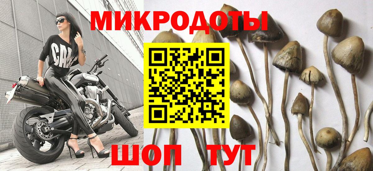 Псилоцибиновые грибы мухоморы Кисловодск