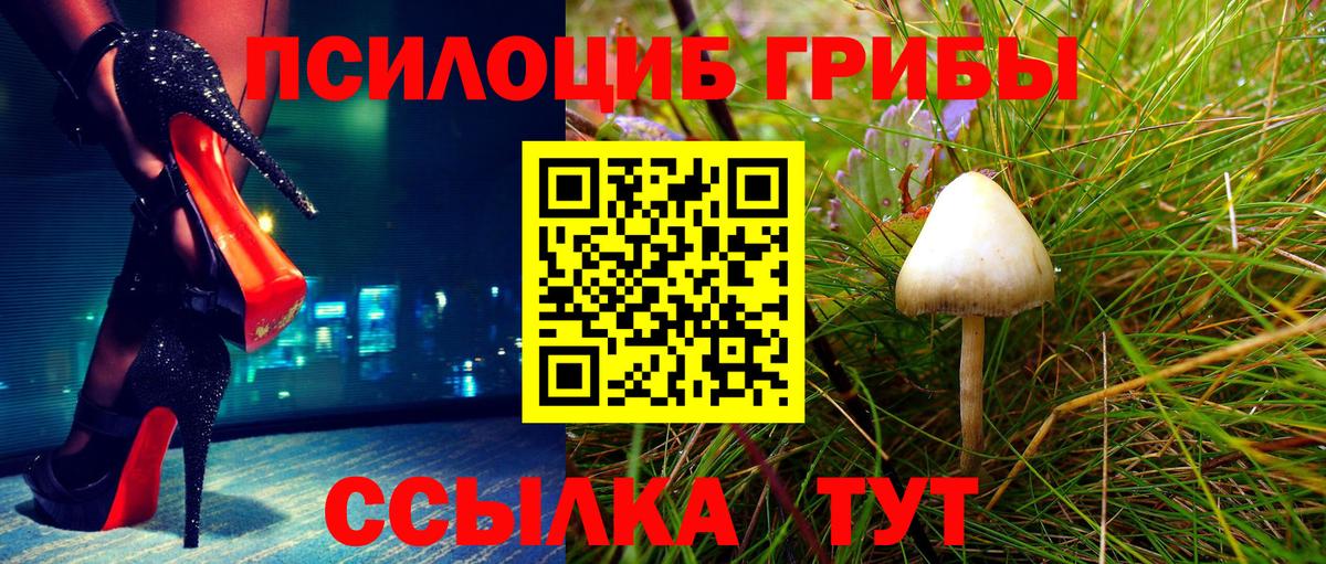 Псилоцибиновые грибы Magic Shrooms  Псилоцибиновые грибы мухоморы  Вход с VPN  Кисловодск 