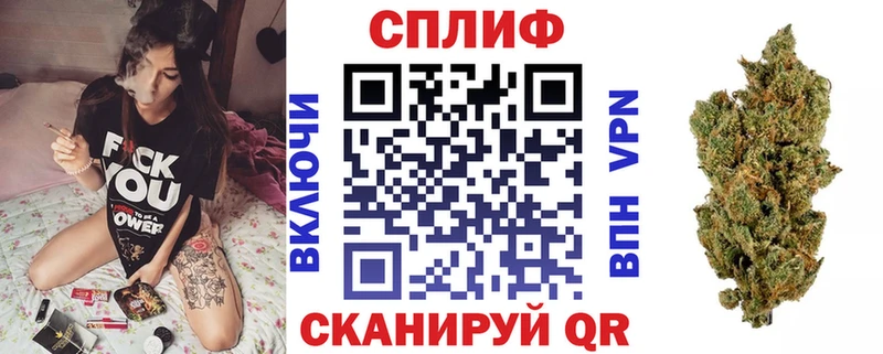 Бошки марихуана индика  Кисловодск 